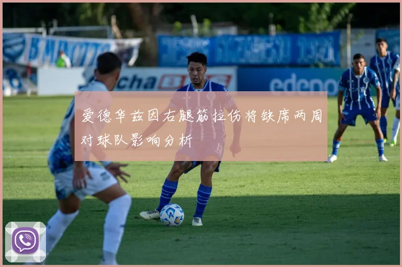 爱德华兹因右腿筋拉伤将缺席两周对球队影响分析