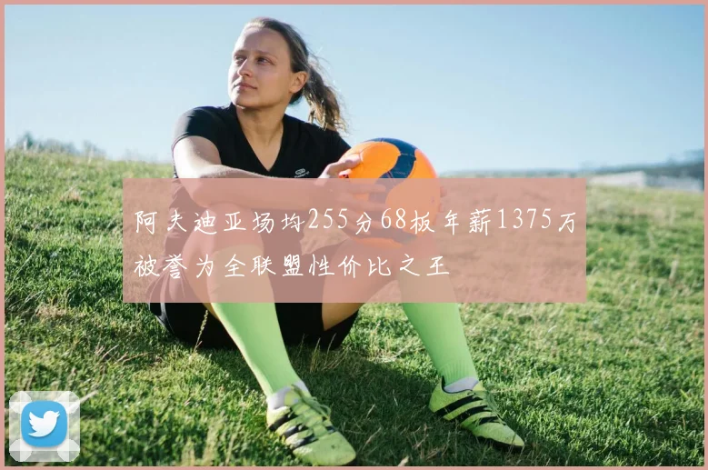 阿夫迪亚场均255分68板年薪1375万被誉为全联盟性价比之王